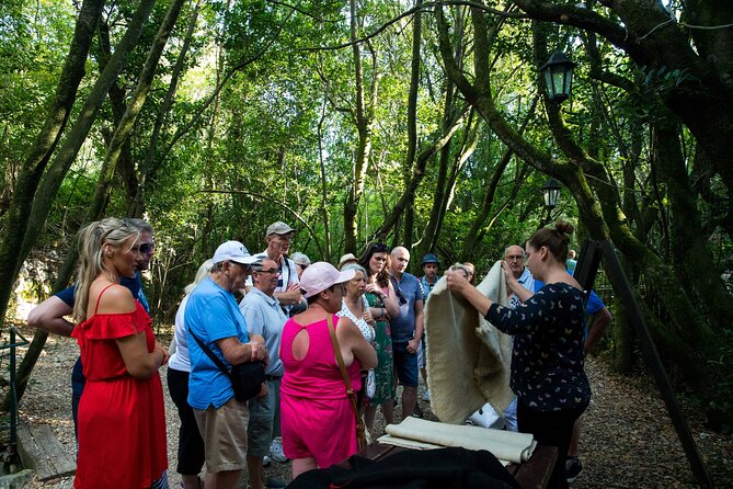 Konavle Valley Wine Tour from Dubrovnik with Train Ride and Wine Tasting - Stop 2 in Ljuta: Đivanović water mill and a wool-making demonstration