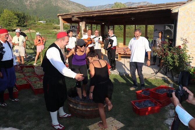 Konavle wine tasting tour from Dubrovnik with 2 vinery's - Stop 2 in Konavle at VODOPIĆ, local grapes meet familiar names