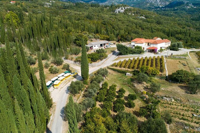 Konavle wine tasting tour from Dubrovnik with 2 vinery's - Comfort, guide style, and small-group feel in real life
