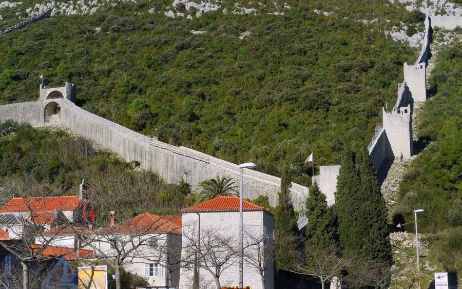 Korčula Day Tour From Dubrovnik - Road time and comfort: mini bus realities, schedule pressure, and group size feel