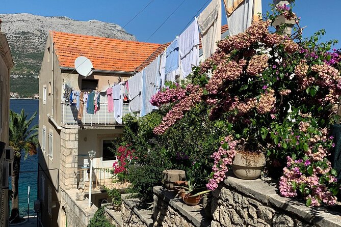 Korcula Private Tour - Food and wine time in Korčula, including Grk and olive oil tasting options