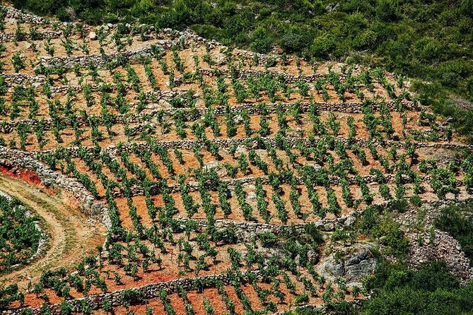 Korčula & Ston: Island Charms, Pelješac Delights & Wine Tasting - Ston oyster option and salt pans extra access: what costs more, what doesn’t