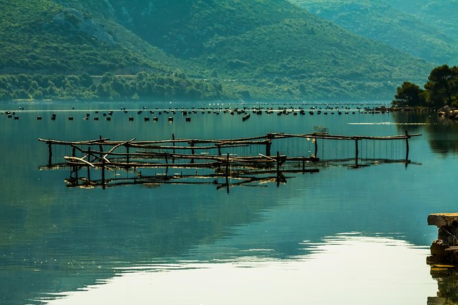 Korcula, Ston, Wine Tasting and Lunch - Tour from Dubrovnik - Matuško Winery: Peljesac wine tasting and production you can actually see