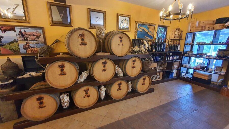 Korcula, Ston, Wine Tasting and Lunch - Tour from Dubrovnik - Logistics that matter: shoes, heat, and how to pack for a full day