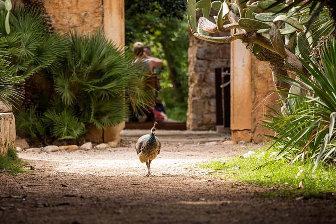 Legendary Game of Thrones & Lokrum Island Tour - Why the guide choice can make or break this tour