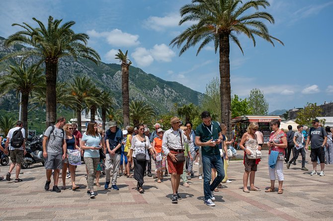 Montenegro: Bay of Kotor Day Trip from Dubrovnik English -Español - Getting There Early: Pickup, Bus Time, and Border Reality