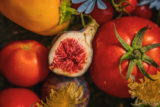 Olive farm & village - Key Highlights You Should Know Before You Go