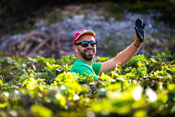 Olive farm & village - Booking Tips and Practical Advice Before You Go