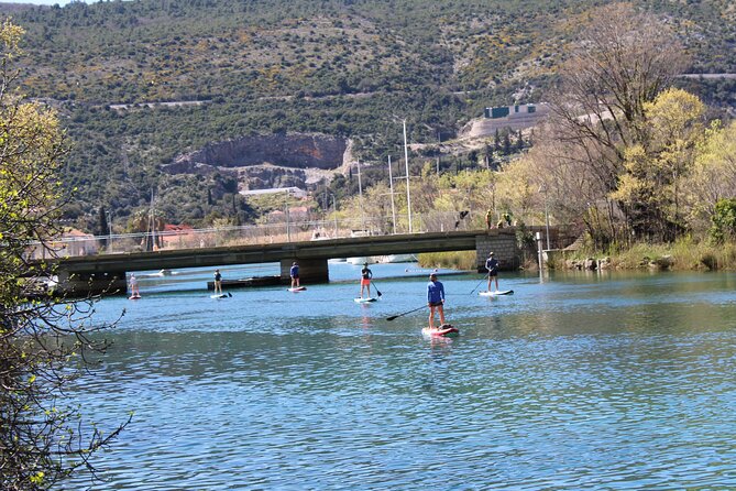 Ombla river Paddleboarding tour in Dubrovnik with snacks - Optional swim at the spring source: refreshing, but plan for cold