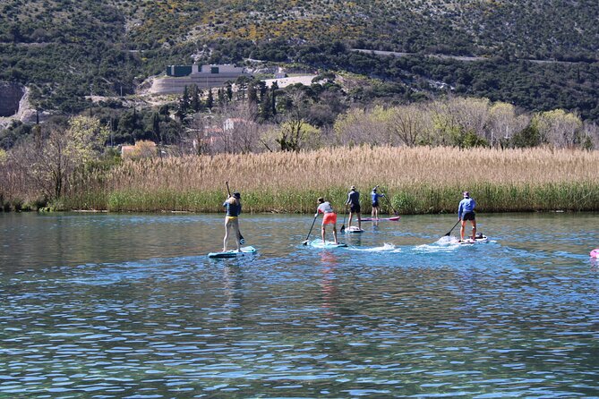 Ombla river Paddleboarding tour in Dubrovnik with snacks - Learning to paddle: calm water lessons that make the rest easy