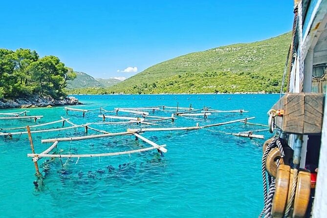 Oyster farm experience / Private day trip from Dubrovnik - Key highlights worth knowing before you go