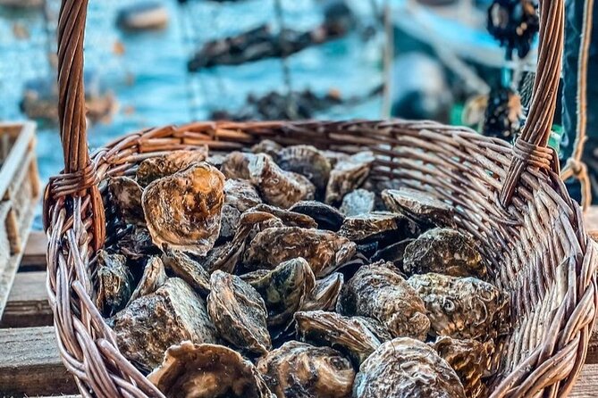 Oyster farm experience / Private day trip from Dubrovnik - Curlin winery wine tasting in Ponikve village