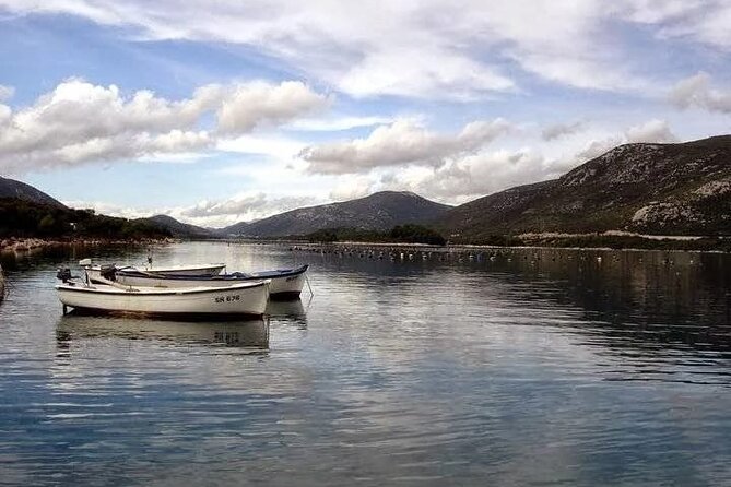 Oysters and mussels tasting with wine in Ston and Pelješac - Key highlights at a glance