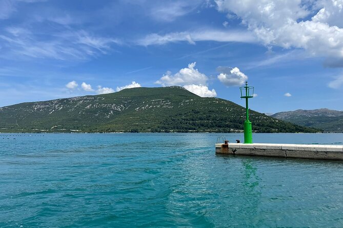 Oysters and mussels tasting with wine in Ston and Pelješac - Hodilje shellfish farm: oysters opened in real time