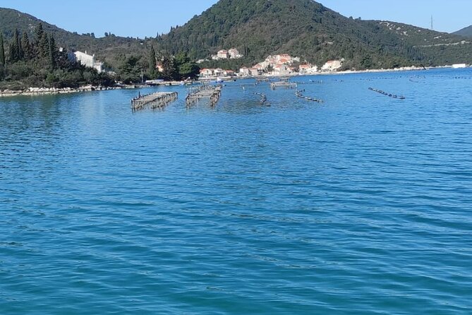 Oysters and mussels tasting with wine in Ston and Pelješac - Buzara mussels: the classic after the oysters