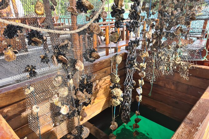 Oysters & Wine Tour From Dubrovnik (Small Group) - Key highlights to look forward to