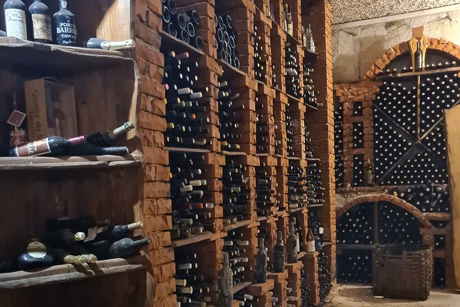 Oysters & Wine Tour From Dubrovnik (Small Group) - Comfort, Timing, and What to Bring for a Seamless Day