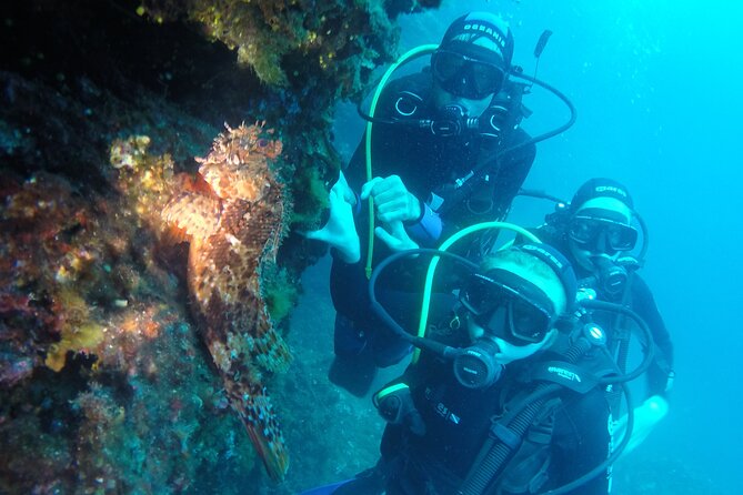 PADI Discover Scuba Diving in Dubrovnik - Instructors and the atmosphere that helps first-timers relax