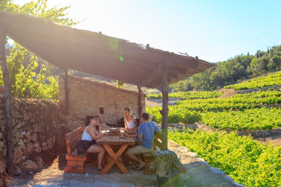 Pelješac Full-Day Wine and Food Tour from Dubrovnik - Oysters Fresh From the Sea: The Morning Taste You Will Remember