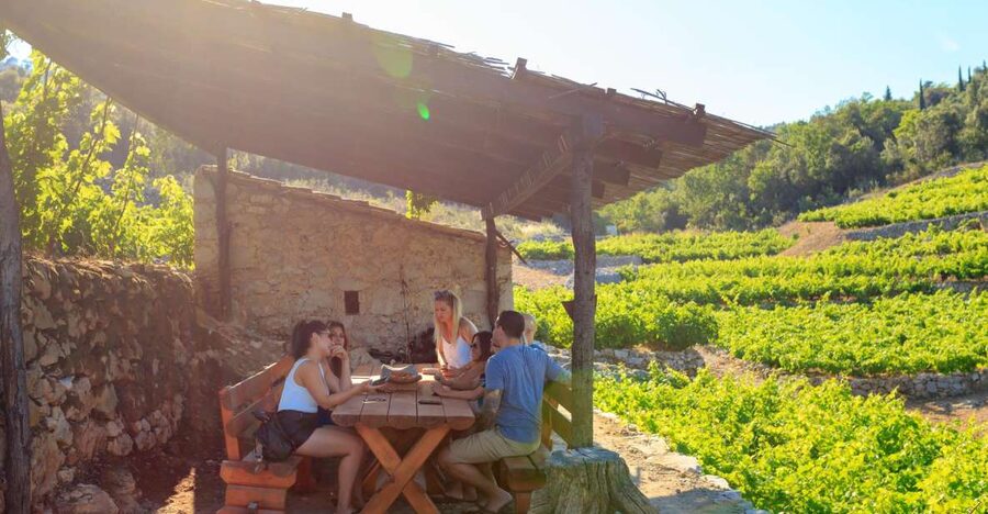 Pelješac Full-Day Wine and Food Tour from Dubrovnik - Ston Walls and Salt Works: Why This Stop Matters