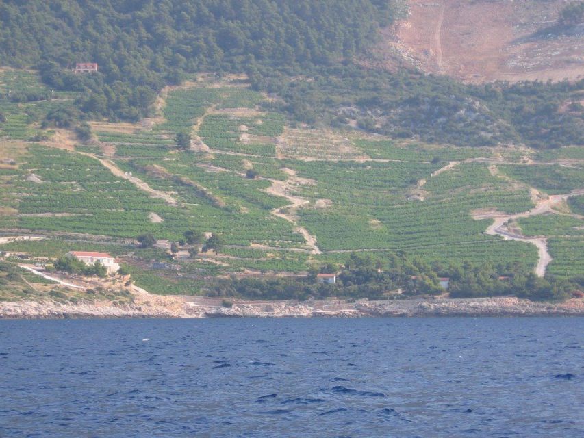 Peljesac Peninsula & Korcula Island Day-Trip from Dubrovnik - Potomje winery tasting: wine, brandy, and an expert at the table