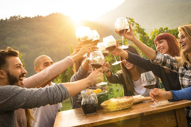 Peljesac Peninsula Wine Tasting Luxury Tour from Dubrovnik - Key highlights at a glance