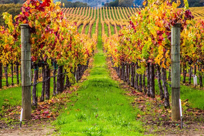 Peljesac Peninsula Wine Tasting Luxury Tour from Dubrovnik - The rhythm of an 8 to 9 hour day