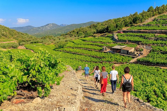 Peljesac&Ston Small-Group Food & Wine Experience from Dubrovnik - Key highlights at a glance