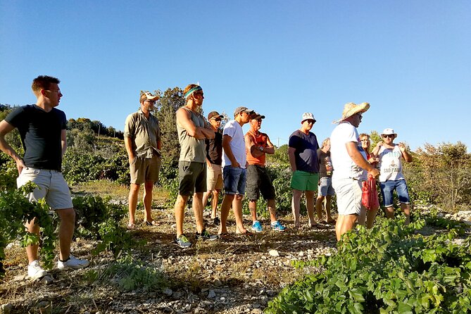 Peljesac&Ston Small-Group Food & Wine Experience from Dubrovnik - Group size, guide energy, and how the day stays comfortable