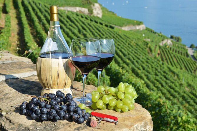 Peljesac Vineyards & Oysters - Private Day Trip from Dubrovnik-Mercedes Vehicle - Key Things That Make This Day Trip Work