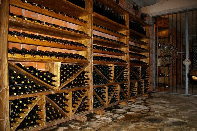 Peljesac Vineyards & Oysters - Private Day Trip from Dubrovnik-Mercedes Vehicle - English Guidance and the Human Touch