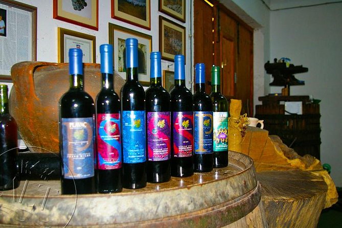 Peljesac Vineyards & Oysters - Private Day Trip from Dubrovnik-Mercedes Vehicle - Price and Value: When $600.79 Per Group Makes Sense