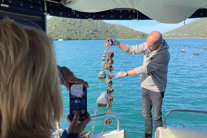 Pelješac - Wine, Oysters and Food Experience from Dubrovnik - Key highlights to know before you go