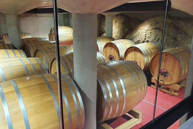Pelješac - Wine, Oysters and Food Experience from Dubrovnik - Ston salt factory and 30 minutes to breathe