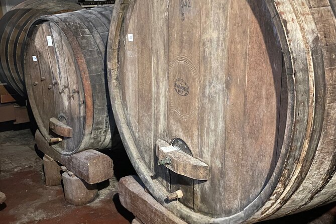 Pelješac - Wine, Oysters and Food Experience from Dubrovnik - Hodilje oyster tasting and the Buzara mussel dish