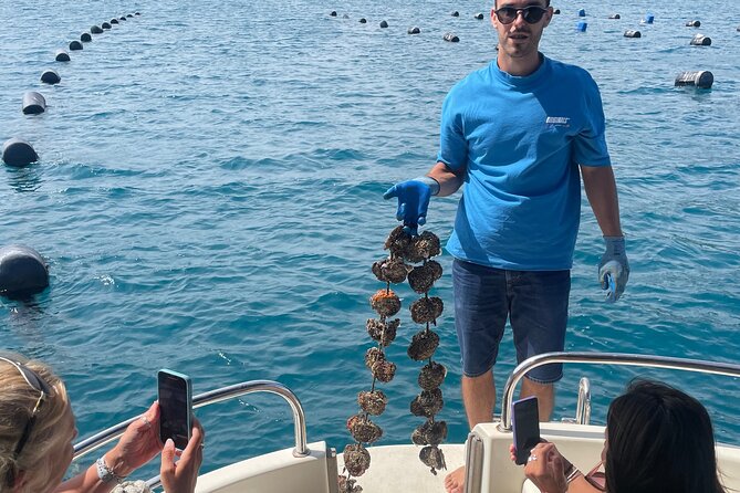 Pelješac - Wine, Oysters and Food Experience from Dubrovnik - Who this Pelješac tour is for (and who might want something else)