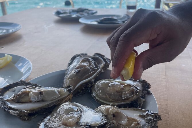 Pelješac - Wine, Oysters and Food Experience from Dubrovnik - Morning logistics: Pile Gate start and pickup that actually saves time