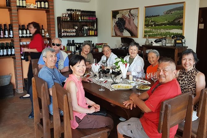 Peljesac Wine & Ston Oysters PRIVATE HALF DAY SHORE TOUR - Comfort and timing: private transport that matters on a shore day