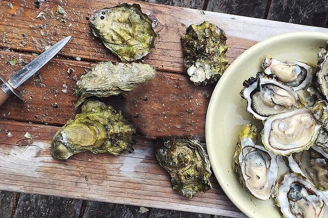 Peljesac Wine & Ston Oysters PRIVATE HALF DAY SHORE TOUR - Ponikve and Plavac Mali: the family winery tasting you can actually follow