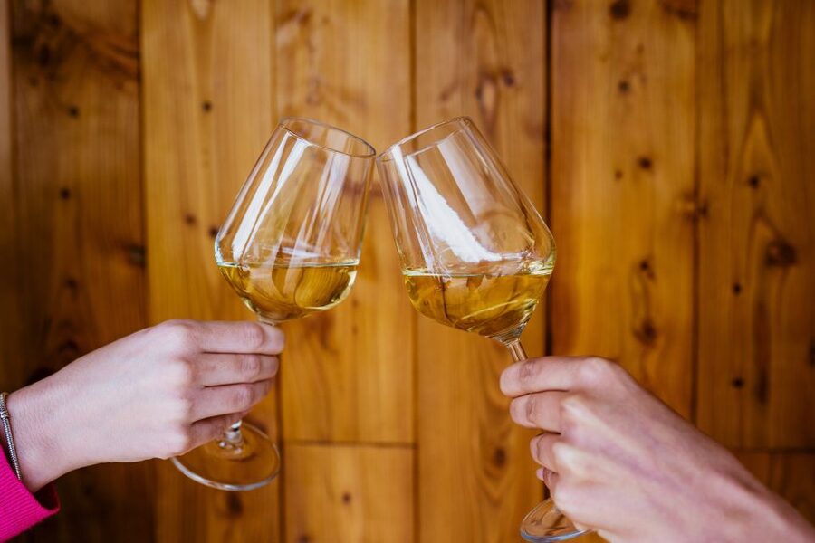 Pelješac wine tasting and local winery visit - Pelješac, the “Empire of Wine,” explained without the hype