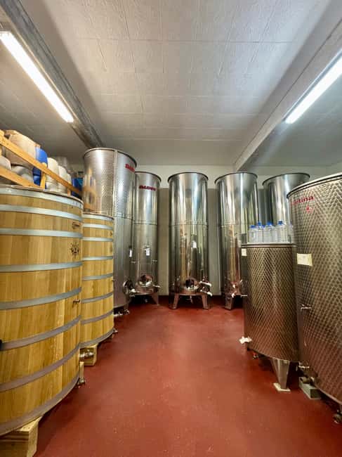 Pelješac wine tasting and local winery visit - Pairing matters: why the snacks make the wines click