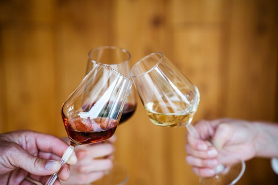 Pelješac wine tasting and local winery visit - Why this is great value at about $43 per person