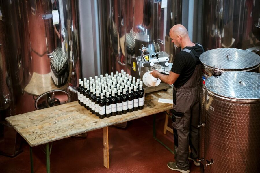 Pelješac wine tasting and local winery visit - Timing, group pace, and what to do before you go