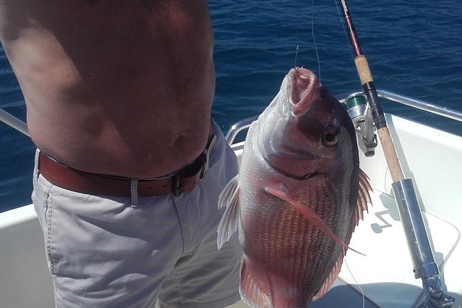 Private fishing tour - Meeting at Lapadska obala 4 and keeping logistics simple