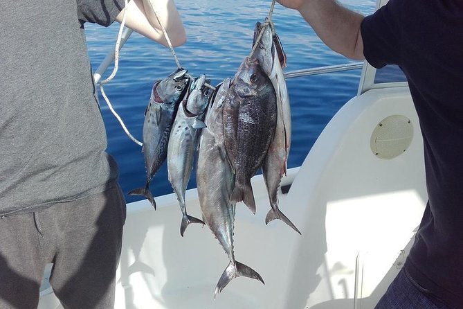 Private fishing tour - Gear, baits, lures, and Inchiku, what that means in practice