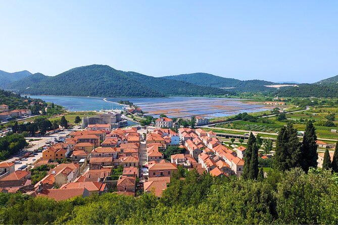 Private Full Day Peljesac Wine Tasting Tour from Dubrovnik - Alcohol Rules and Allergy Notes You Should Plan Around