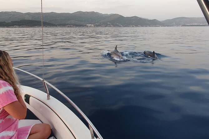 Private Local Guided Speedboat Tour in Dubrovnik Archipelago - Donje Čelo and Gornje Čelo: Two Coastal Villages on Koločep