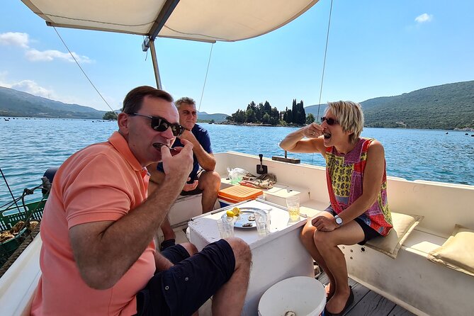 Private Oyster and Wine Tasting Day Trip along Peljesac - Edivo Wine Bar: A Second Style of Tasting With Local Food