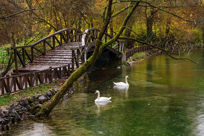 Private Tour: Sarajevo Day Trip from Dubrovnik - Leaving Dubrovnik, entering Bosnia: the day’s rhythm starts early