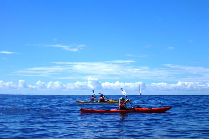 Private tour: Sea Kayaking & Snorkeling to Green Cave on Sipan island from Lopud - Optional cliff jumping: fun for the brave, skip it without ruining the day